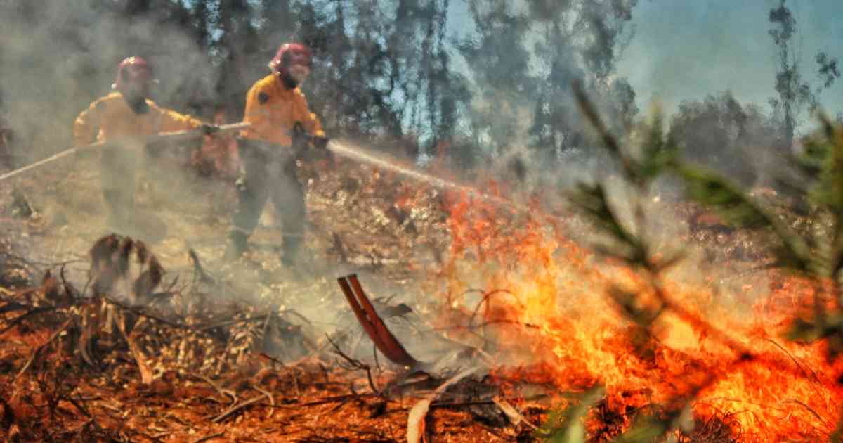 Crítica Emergencia Ambiental: Incendios Devastadores Consumen Colombia