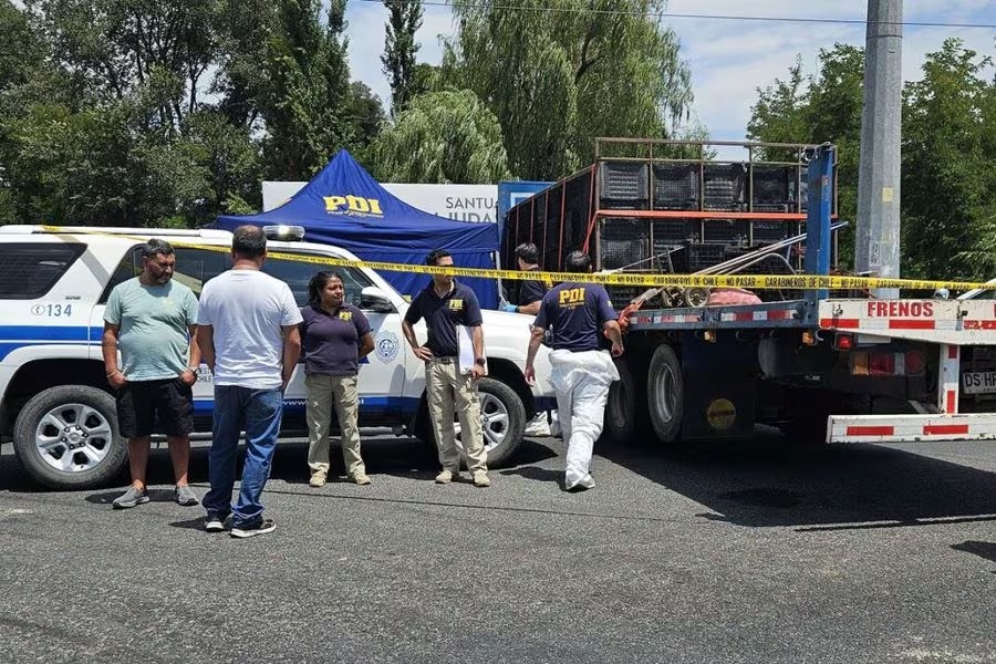 Tragedia en Malloa: Violento Asalto y Trágico Desenlace.