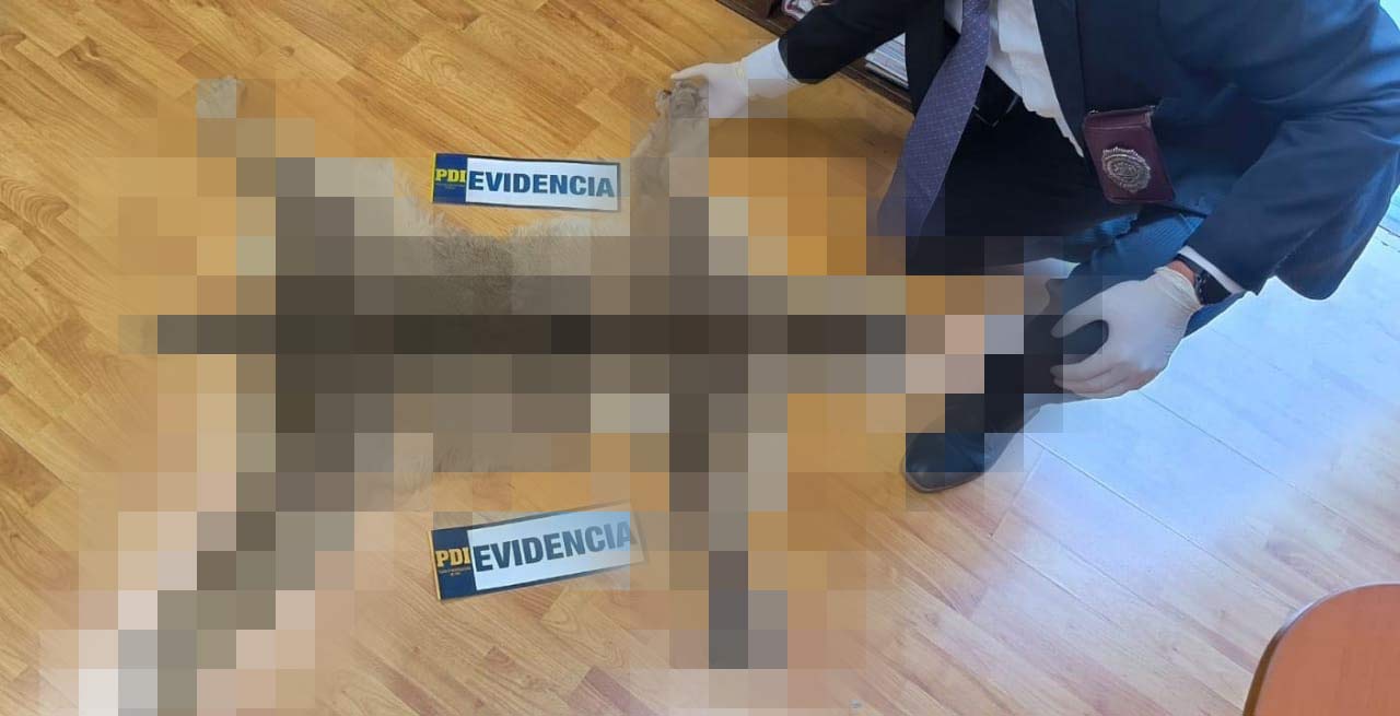 ¡Estas son las parejas de los futbolistas más famosos del mundo!