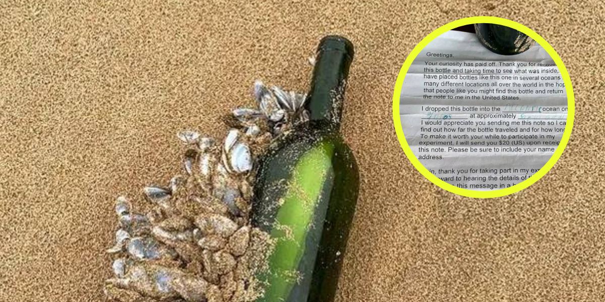Hace 16 años, una botella con un mensaje fue lanzada en Brasil y llegó a una playa en Australia.