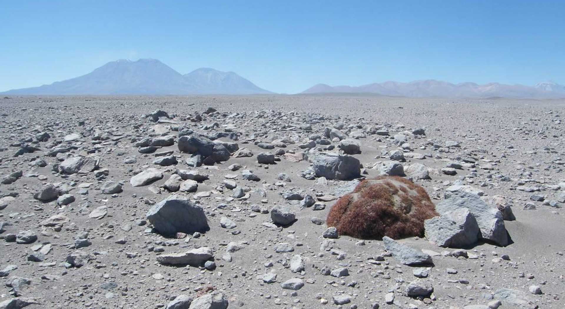 El Tribunal Ambiental niega impacto ambiental en el proyecto del Parque Eólico Ckhúri.