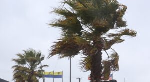 Alerta Temprana por Fuertes Vientos en Antofagasta, El Loa y Taltal