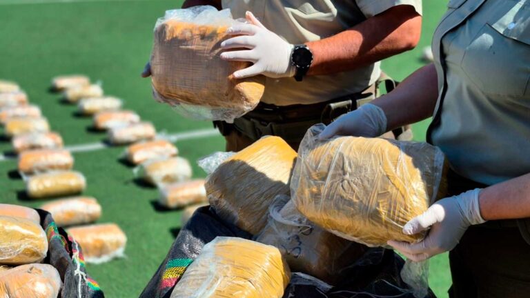 Desmantelan red de narcotráfico en Calama: incautan más de 737 kilos de marihuana
