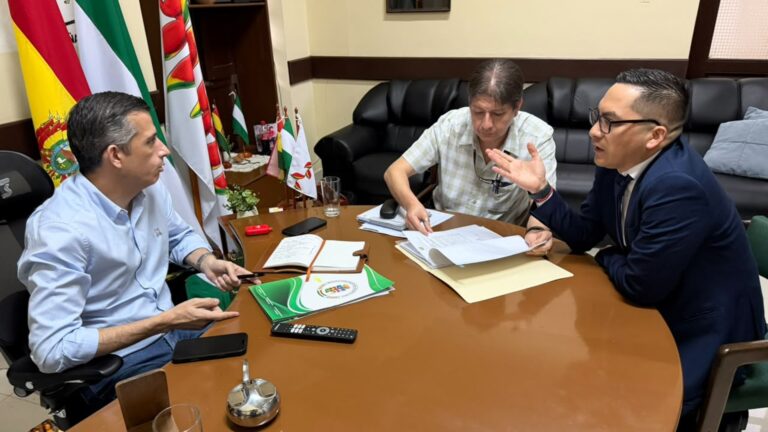 Sebastián Videla aclara que propuesta boliviana no incluirá autos robados