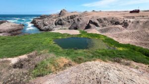 Intervención en el Humedal La Chimba tras daños por lluvias y problemas sanitarios