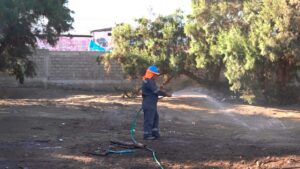 Avances en la Recuperación del Vivero Municipal de Antofagasta: Un 10% de Progreso Tras Siete Años Sin Riego