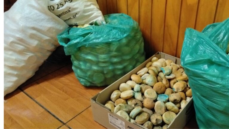 Operativo en la Feria de Pulgas de Antofagasta: Decomiso de alcohol y alimentos en mal estado